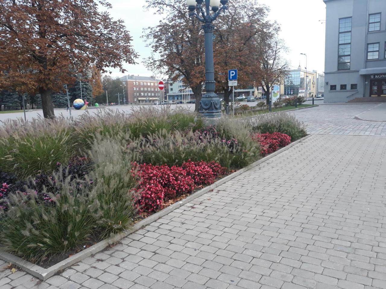 Town Center Studio Apartment Daugavpils Exteriör bild